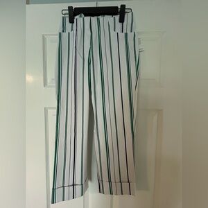 NWT Women’s ankle pants